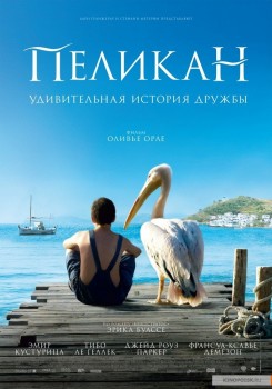Пеликан