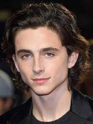 Тимоти Шаламе