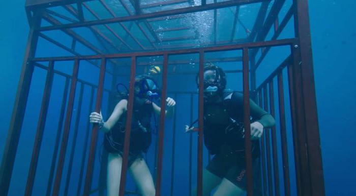 Синяя бездна